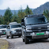 洪水冲走救援豹5，硬核安全守护车主脱险！方程豹重奖义举