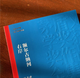 茅奖作品，迟子建的文学魅力