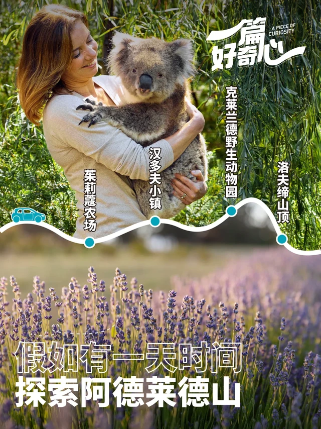 假如有一天时间探索阿德莱德山