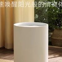 米家除湿机，干衣除潮好帮手