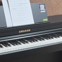 珠江艾茉森---AP350PRO