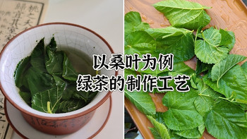 去年种下的18棵茶苗，存活了几棵？以桑叶为例，绿茶制作工艺 