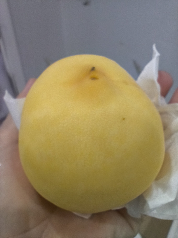 蒲恋其他水果
