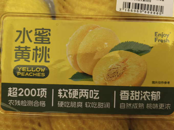 蒲恋其他水果