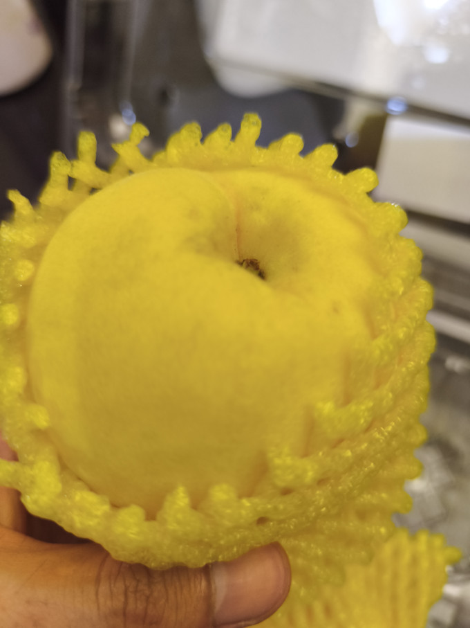 蒲恋其他水果