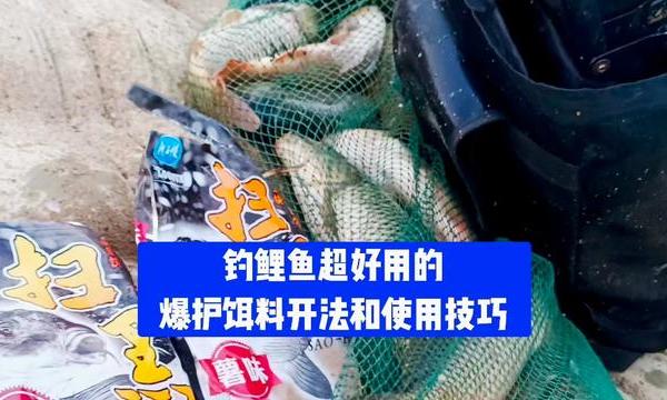 钓鲤鱼爆护饵料开法及使用技巧 钓鲤鱼饵料你就试试龙王恨扫黑