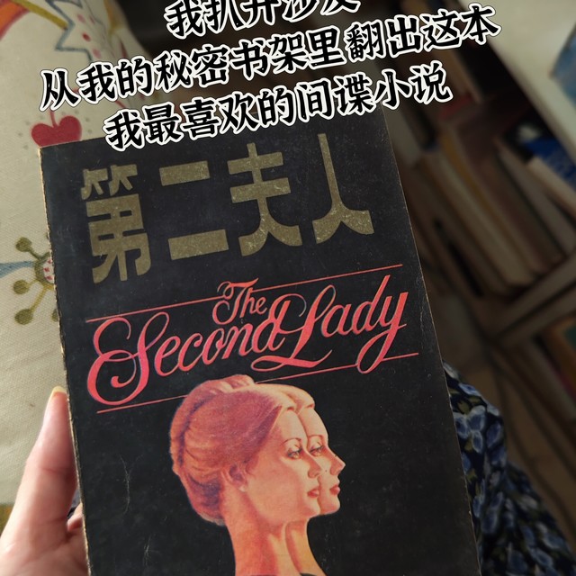 你知道世界三大间谍组织吗？不能错过的间谍悬疑小说: 第二夫人