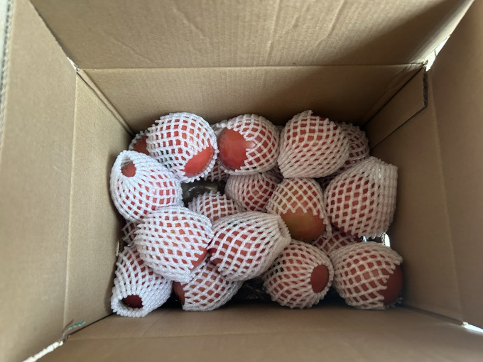 绿行者蔬菜