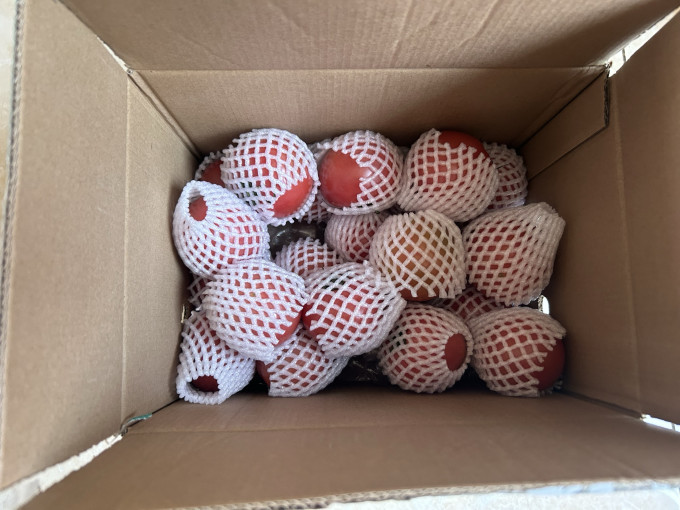 绿行者蔬菜