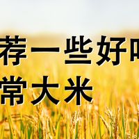 推荐一些好吃的五常大米