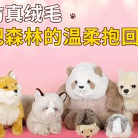 被女儿夸爆的毛绒玩具狗！