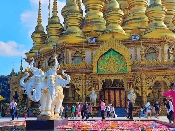 5天4夜亲子西双版纳之旅//2025【兴探亲子游】