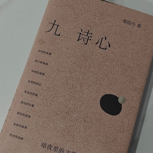 在诗句的褶皱里安身 —— 读《九诗心》的生命启示
