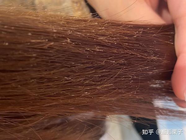吹发总炸毛？深度测评6款高速吹风机，解锁告别毛躁的秘密
