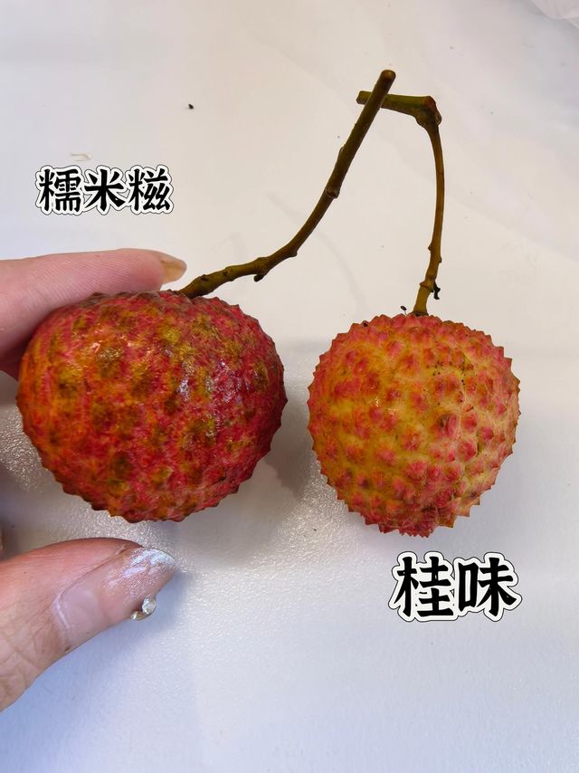 桂味荔枝与糯米糍口感对比
