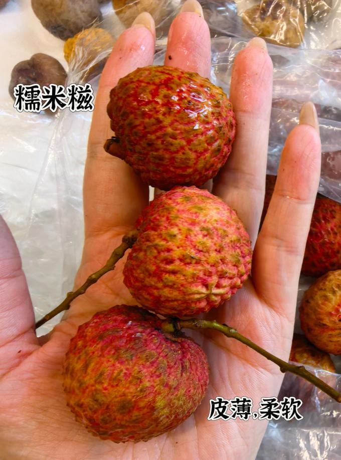 粤迎其他水果