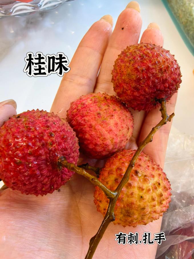 粤迎其他水果