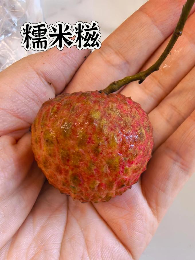 粤迎其他水果