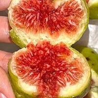 咬开千面无花果的甜芯密码：从山野青涩到焦糖蜜瀑的舌尖巡礼