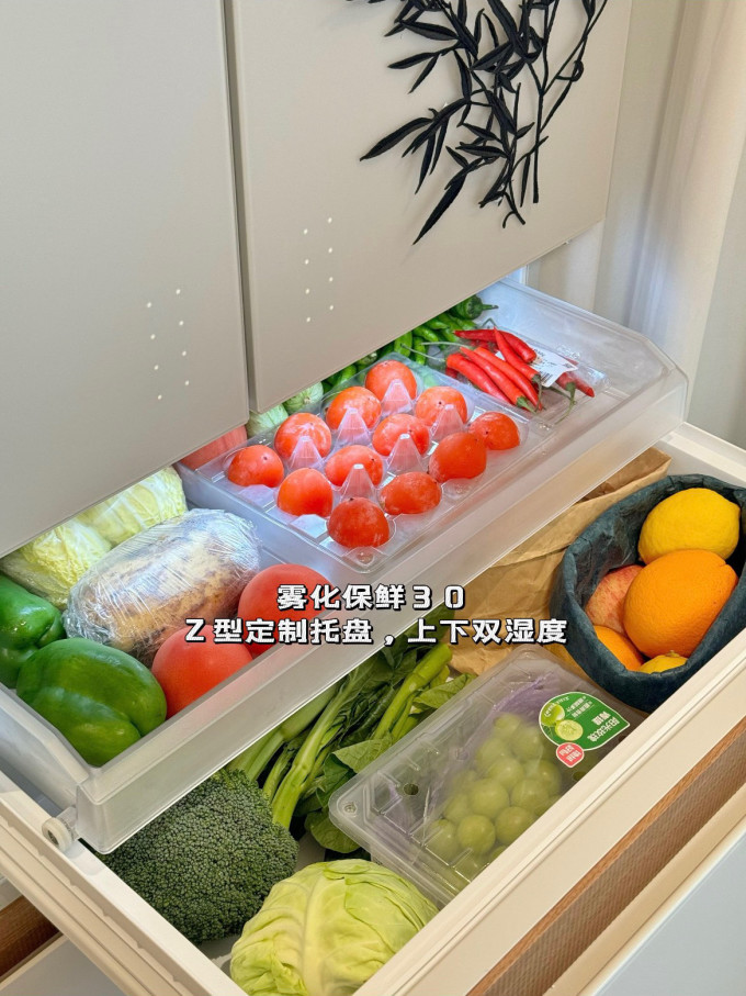 东芝冰箱