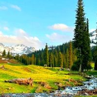 今年的休假，就来新疆自驾吧