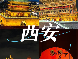西安亲子游：兵马俑与研学讲解