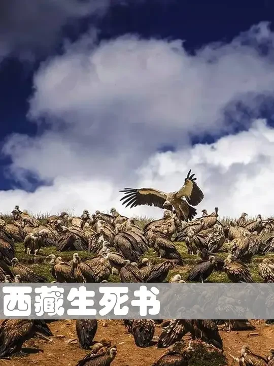 有人说这是一本冥界通关指南？ 《西藏生死书》是2011年4月浙江大学出版社出版的图书，作者是索甲仁波切，郑振煌译。
这本书很多人推荐，有的人推崇至极，但也有很多人看了之后嗤之以鼻。
究竟它是怎样一本书