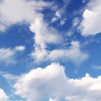 光大永明人寿精准定制保险方案，助力绿色企业行稳致远