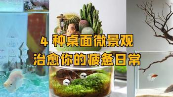 Home+：累到不想说话？搭个「桌面微景观」，每天多看10秒都解压！ 