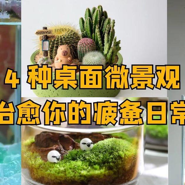Home+：累到不想说话？搭个「桌面微景观」，每天多看10秒都解压！