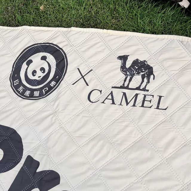 骆驼户外野餐垫：超大尺寸舒适体验