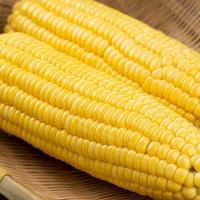 中国最好吃的10种玉米，糯叽叽好吃极了
