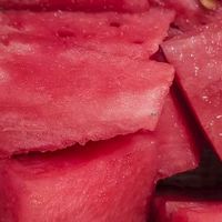 压砂瓜：石头与沙土孕育的味觉传奇