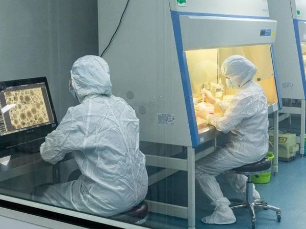 上市军团养成记⑦丨赛诺生物：探路异种移植，做站在风口上的“猪”
