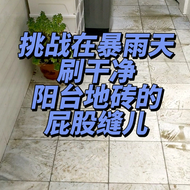 沉浸式刷地砖屁股缝儿｜怎么不算努力呢