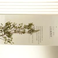 美好人居时代人物丨三雄极光张宇涛：以光为媒，共筑美好人居未来