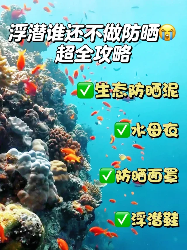 🔥巴厘岛浮潜装备超全指南 海岛玩家私藏