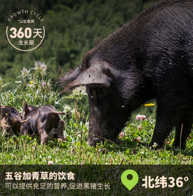 龙大猪肉
