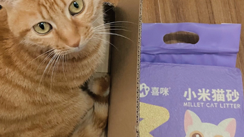 喜咪小米猫砂 2.4kg：除臭、无尘、结团、可冲厕所的全方位呵护