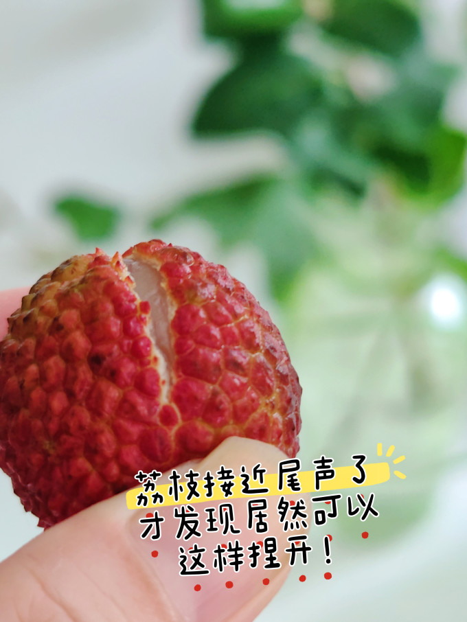 春福乐其他水果