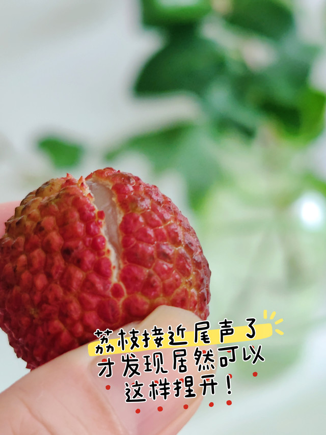 荔枝接近尾声了？才发现原来荔枝可以捏开！