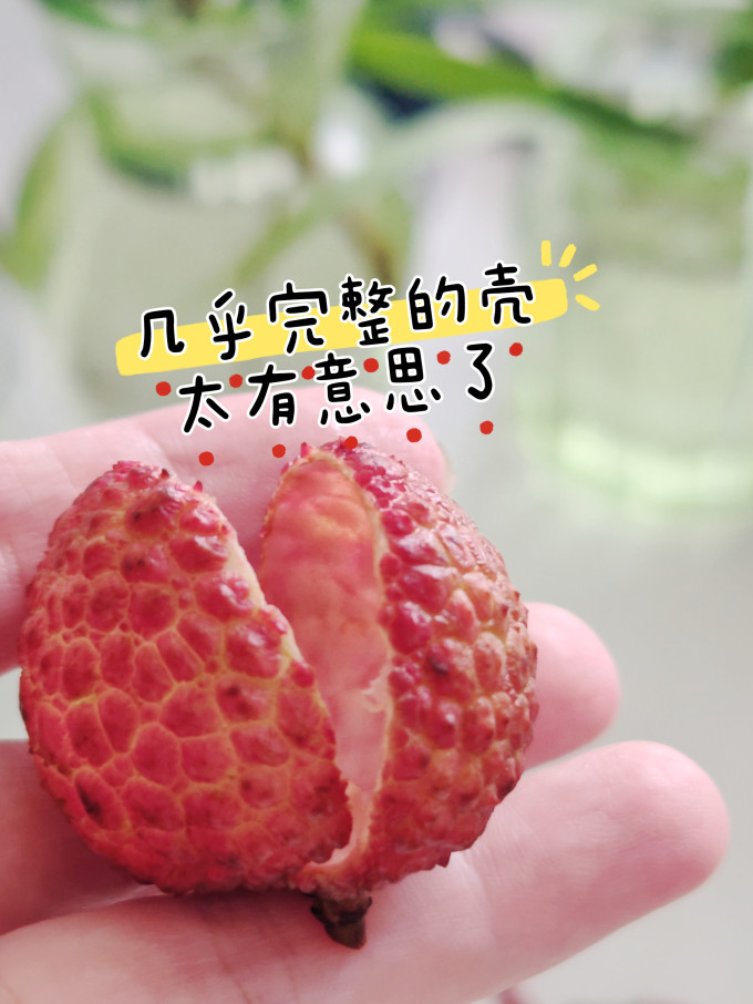 春福乐其他水果