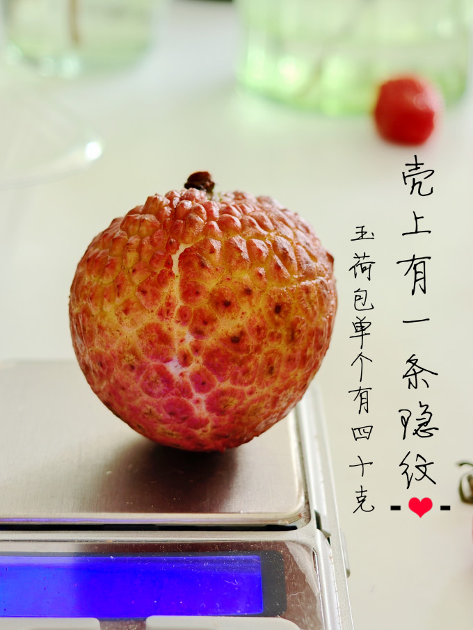 春福乐其他水果