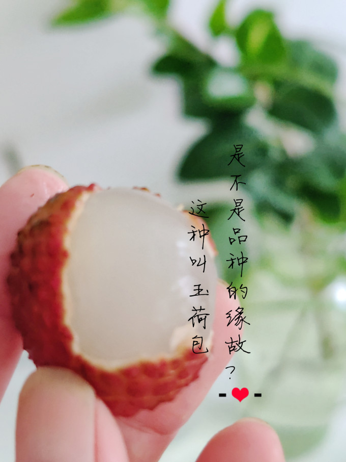 春福乐其他水果