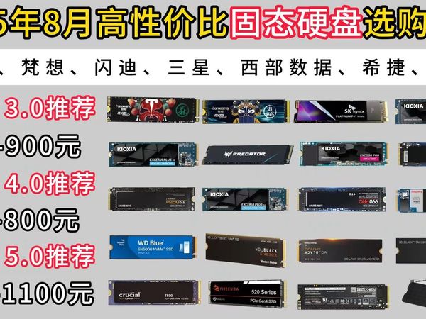 【建议收藏】2025年8月固态硬盘选购指南!300-1100元价位推荐!铠侠、梵想、闪迪、三星、西部数据等!PCie3.0/4.0/5.0/固态硬盘推荐!