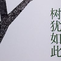 柏树影里的永恒——读白先勇《树犹如此》精装珍藏版