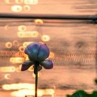 一碗豚骨面，告别忙碌的你！