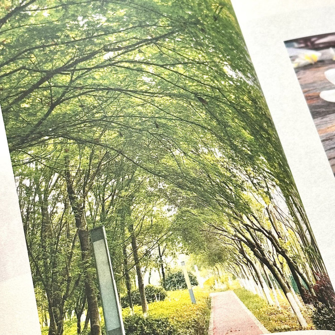 文学诗歌