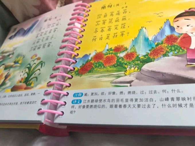阳光宝贝启蒙认知