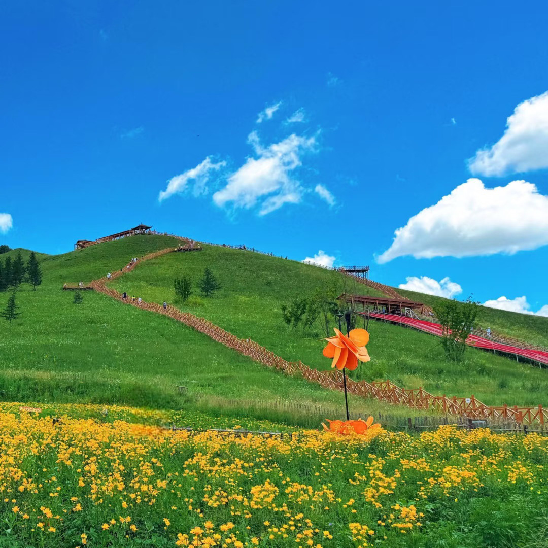 神仙谷七彩森林:夏日避暑胜地